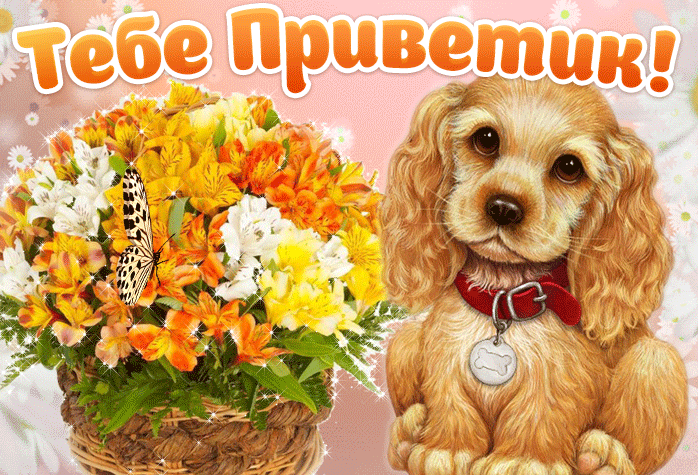 Классная гиф открытка приветик тебе от меня! Классная гиф открытка приветик тебе от меня!