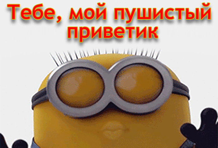 Мой пушистый приветик тебе, прикольная gif открытка! Мой пушистый приветик тебе, прикольная gif открытка!