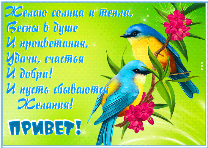 Открытка привет с пожеланием Открытка привет с пожеланием