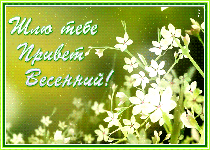 Милая весенняя картинка привет Милая весенняя картинка привет
