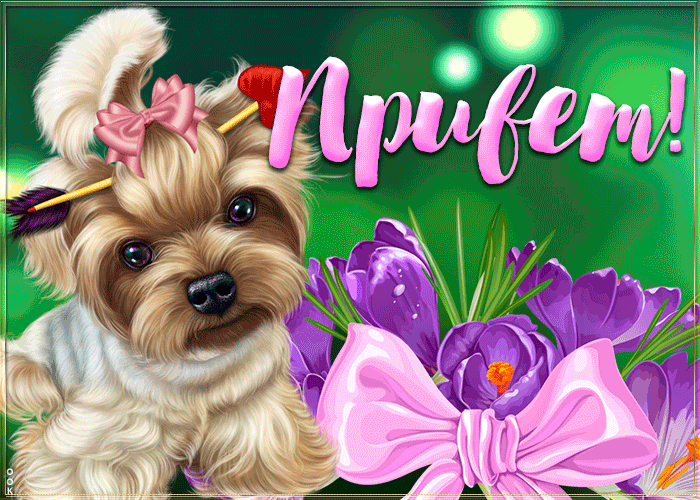 Очень милая открытка привет Очень милая открытка привет