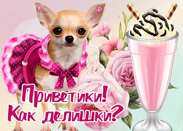 Открытка привет с песиком для девочек Открытка привет с песиком для девочек