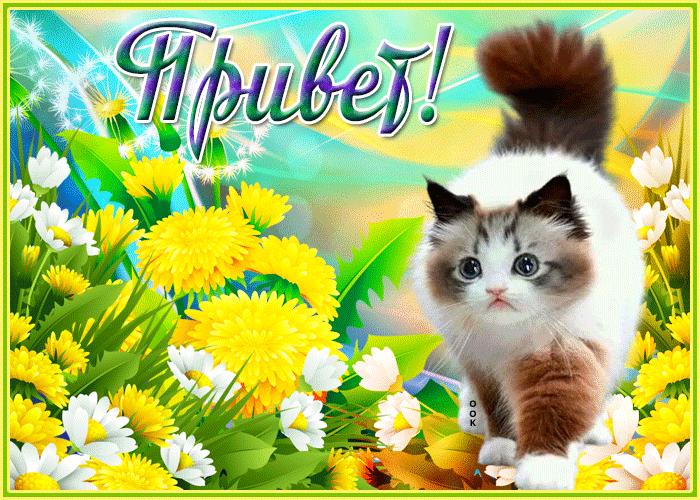 Картинка привет и прекрасного дня Картинка привет и прекрасного дня