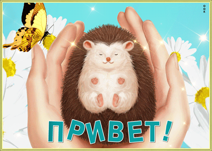 Трогательная открытка привет с мерцанием Трогательная открытка привет с мерцанием