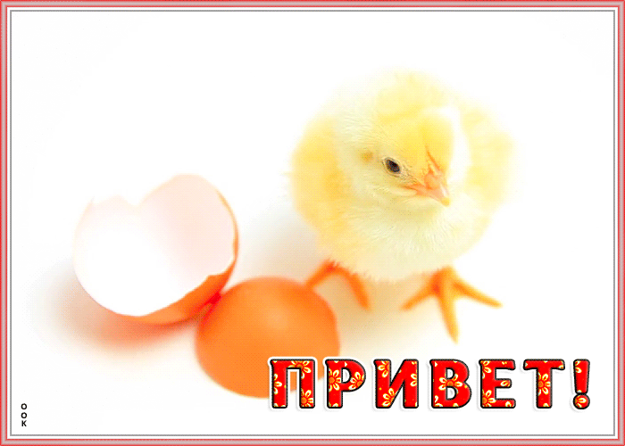 Необычная открытка привет Необычная открытка привет