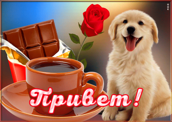 Открытка привет с песиком Открытка привет с песиком