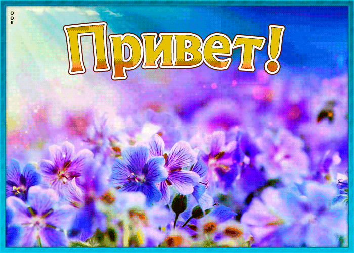 Картинка привет с цветами Картинка привет с цветами