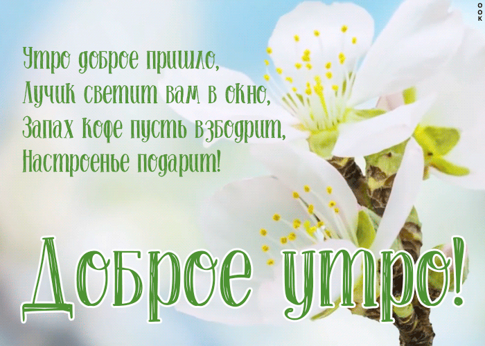 Анимационная gif открытка пусть это доброе утро подарит настроение Анимационная gif открытка пусть это доброе утро подарит настроение