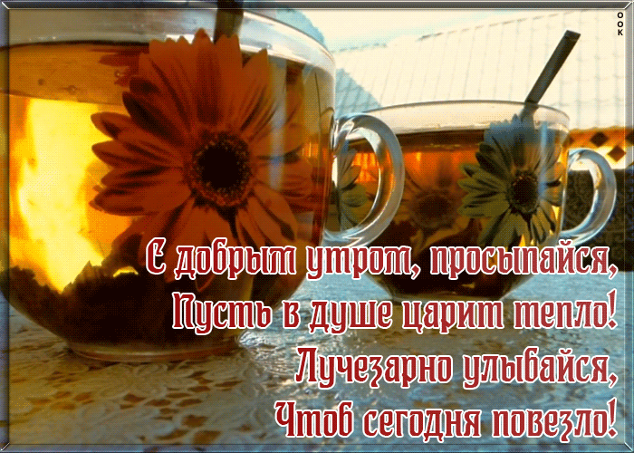 Открытка доброе утро с надписью и пожеланиями в прозе! Открытка доброе утро с надписью и пожеланиями в прозе!