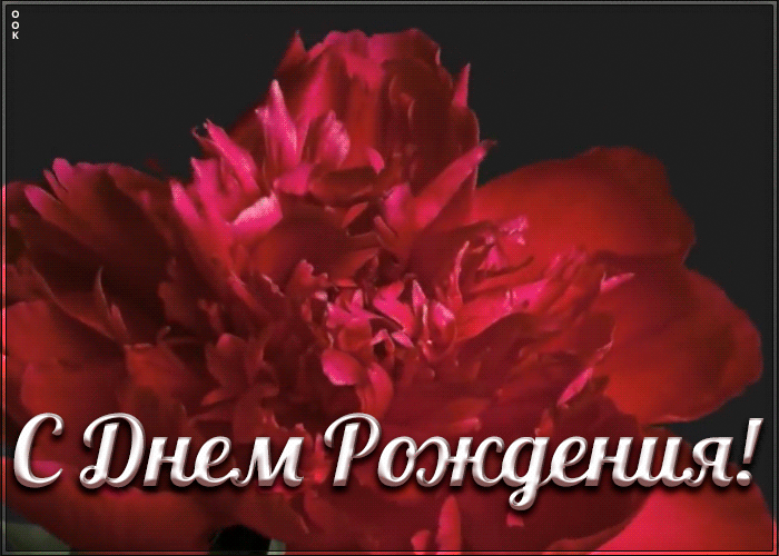 Поздравление женщине с пионом Поздравление женщине с пионом