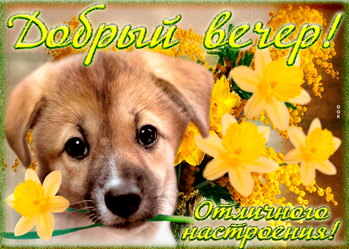 Красивая гиф картинка с пожеланием доброго весеннего вечера и отличного настроения! Красивая гиф картинка с пожеланием доброго весеннего вечера и отличного настроения!