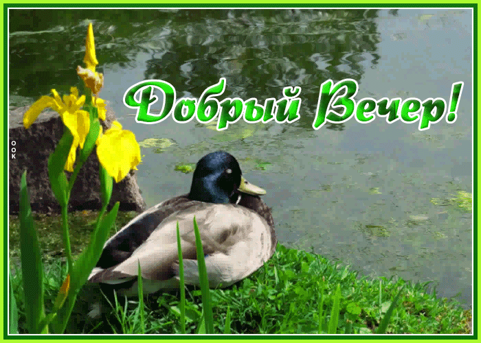 Открытка добрый вечер с весенней природой! Открытка добрый вечер с весенней природой!