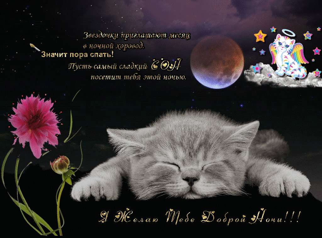 Пожелания спокойной Апрельской ночи