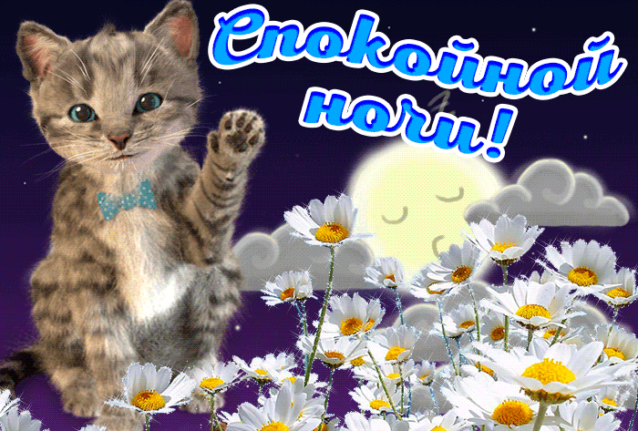 Пожелание Спокойной Доброй Ночи И Сладких Снов. Гифки спокойной ночи. Открытки спокойной ночи.