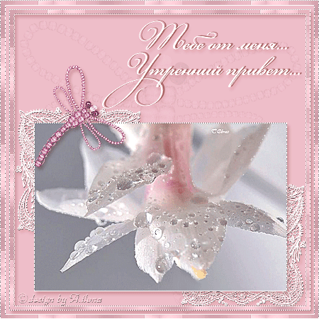 Нежная картинка Тебе от меня утренний привет