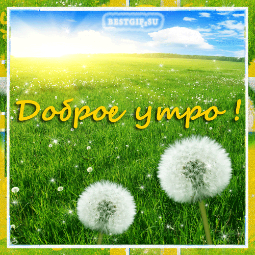Классная гиф картинка с пожеланием доброго летнего утра! С добрым утром, с новым днем, Пусть он принесет удачу, С каждым солнечным лучом Пусть к тебе приходит счастье. С добрым утром, новый день Манит новыми делами. Пусть удача, словно тень, Ходит за тобой кругами!