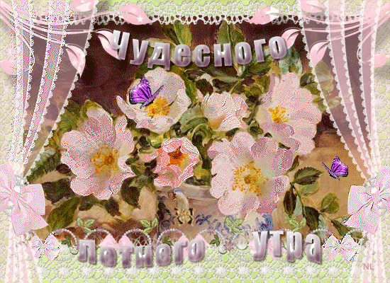 Пожелание чудесного летнего утра, Розовые цветы на окне, розовые занавески и сиреневые бабочки Пожелание чудесного летнего утра, Розовые цветы на окне, розовые занавески и сиреневые бабочки