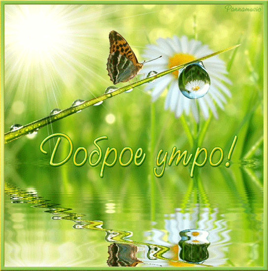 Анимационные картинки с добрым утром. Открытки с добрым летним утром. Красивые открытки с добрым утром природа. Анимационные картинки с добрым утром. Открытки с добрым летним утром. Красивые открытки с добрым утром природа.