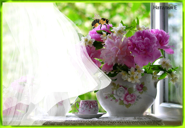 Красивая картинка летнее утро Красивая картинка летнее утро