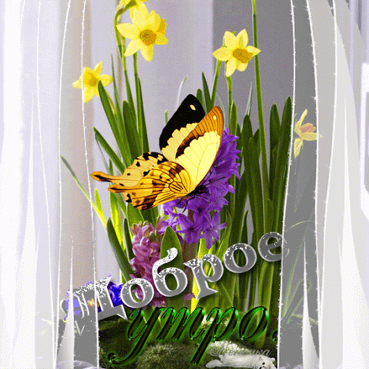 Доброе летнее утро гифки. С добрым летним утром гиф Доброе летнее утро гифки. С добрым летним утром гиф