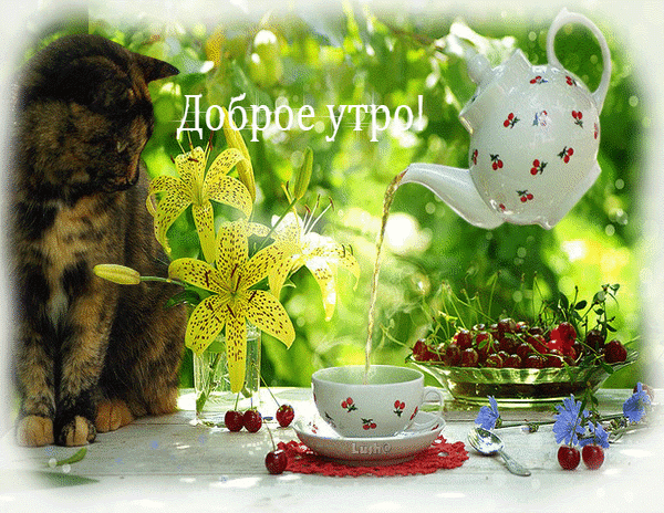 С добрым летним утром прикольные картинки. Открытки с добрым летним утром. Гифки с добрым утром летние красивые. С добрым летним утром прикольные картинки. Открытки с добрым летним утром. Гифки с добрым утром летние красивые.