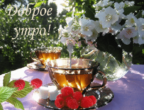 С добрым летним утром гиф картинка. Гифки с добрым утром летние красивые. С добрым летним утром гиф картинка. Гифки с добрым утром летние красивые.