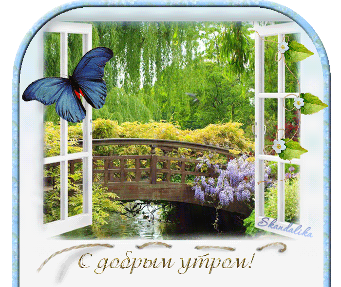 Доброе летнее утро анимация. Открытки с добрым утром с природой. Доброе летнее утро анимация. Открытки с добрым утром с природой.