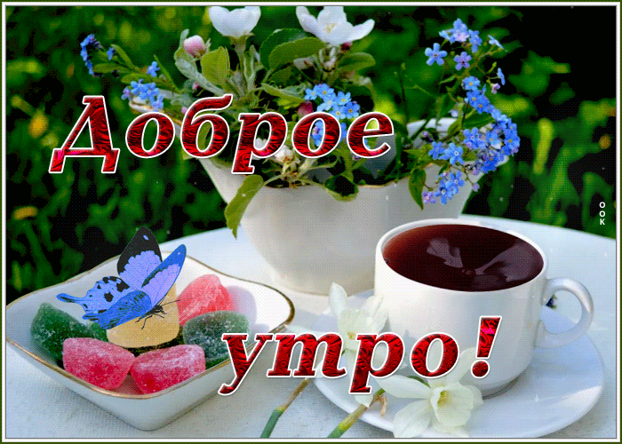 Открытка доброе утро всего хорошего Открытка доброе утро всего хорошего