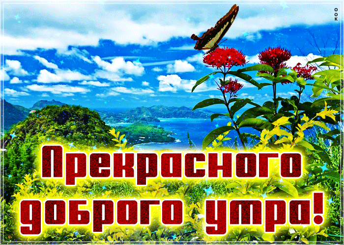 Открытка с пожеланием прекрасного летнего доброго утра Открытка с пожеланием прекрасного летнего доброго утра