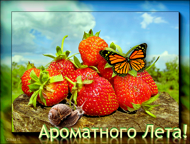 Гифка с пожеланием ароматного лета, бабочка сидит на клубнике! Гифка с пожеланием ароматного лета, бабочка сидит на клубнике!