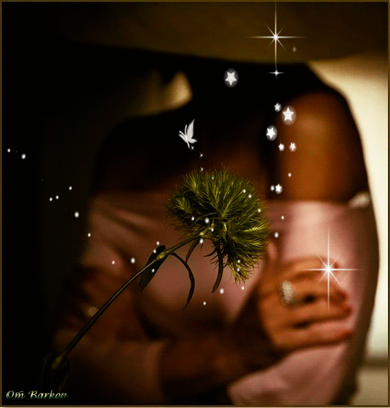 Летняя gif картинка Девушка в шляпке смотрит на нераспустившийся цветок, вокруг которого летает бабочка и звёздочки. Летняя gif картинка Девушка в шляпке смотрит на нераспустившийся цветок, вокруг которого летает бабочка и звёздочки.