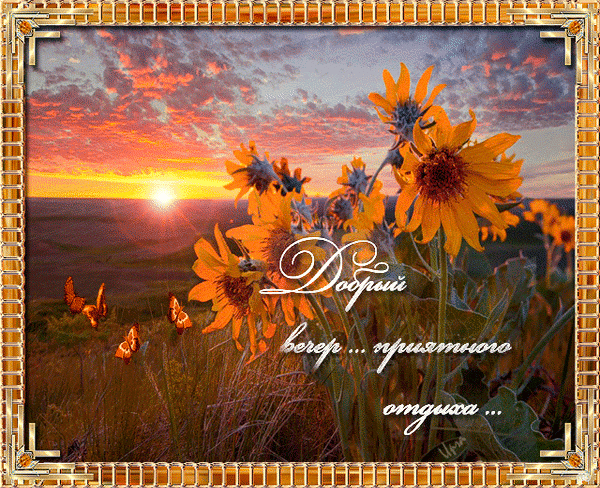 Красивая гиф картинка с пожеланием доброго летнего вечера с природой Красивая гиф картинка с пожеланием доброго летнего вечера с природой