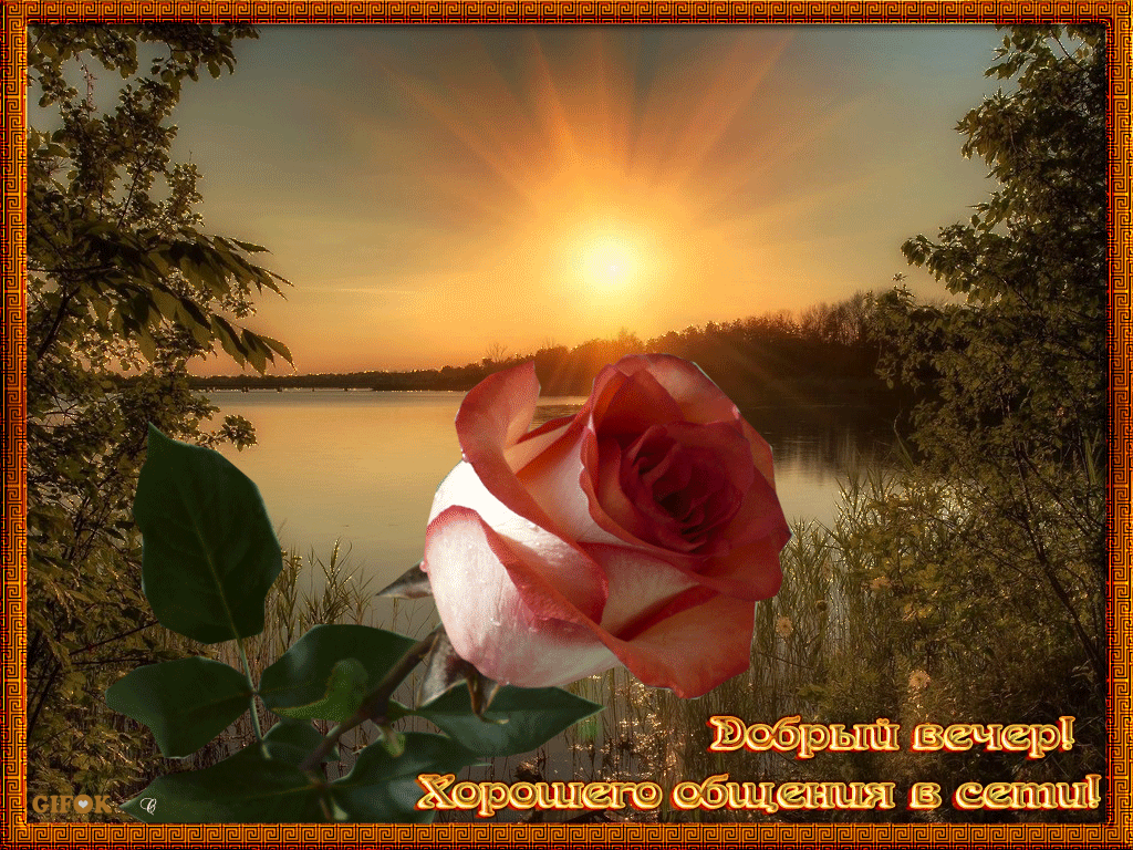 Красивая gif анимация с пожеланием Доброго летнего вечера друзья Красивая gif анимация с пожеланием Доброго летнего вечера друзья