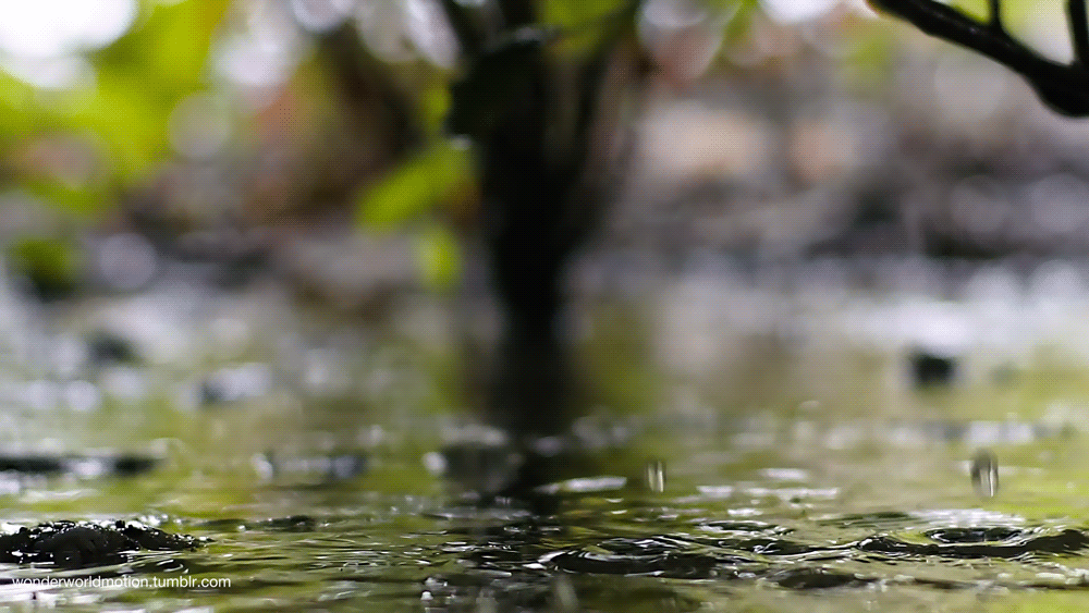 Дождь анимация, Проливной дождь, Летний дождь анимация