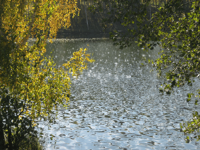 Гиф картинка Проливной дождь