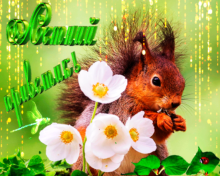 Летний приветик красивые анимированные картинки Летний приветик красивые анимированные картинки