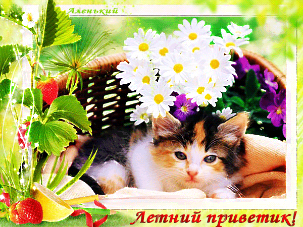 Анимированная открытка Летний приветик! Летний приветик красивые картинки, Летний приветик гифки Анимированная открытка Летний приветик! Летний приветик красивые картинки, Летний приветик гифки