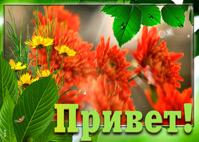 Анимация привет с летними цветами Анимация привет с летними цветами