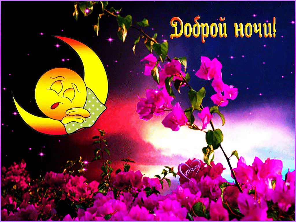 Анимация Спокойной летней ночи