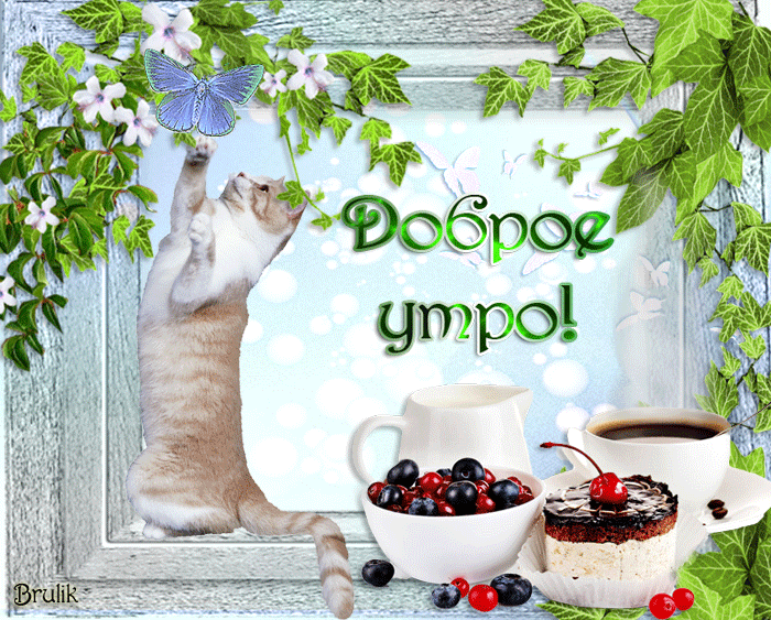 Поздравления С Добрым Утром Гифки Прикольные. Веселое Приветствие с добрым утром, Смешные анимации с добрым утром.
