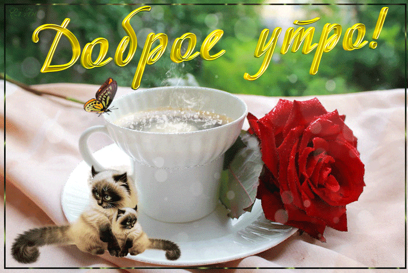 Прикольная картинка Доброе утро гифки