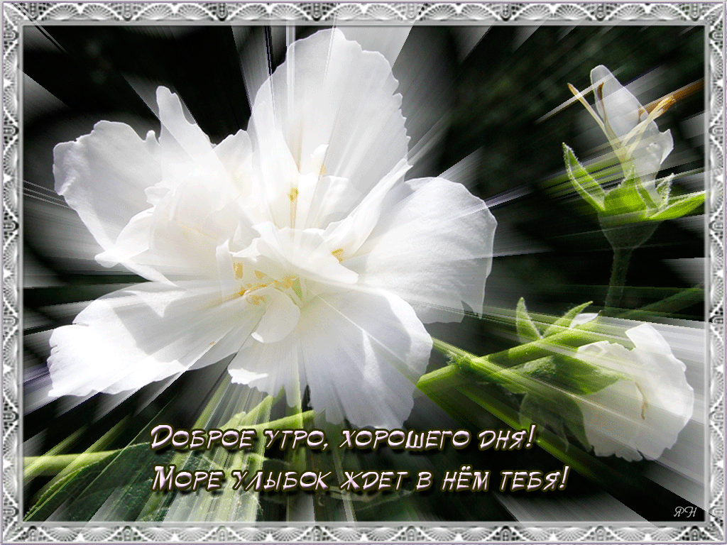Анимационные открытки с добрым утром