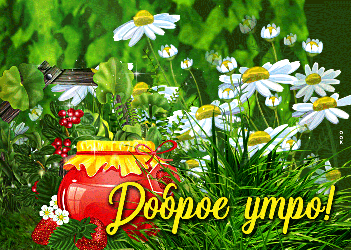 Красивая открытка доброе утро с рассветом