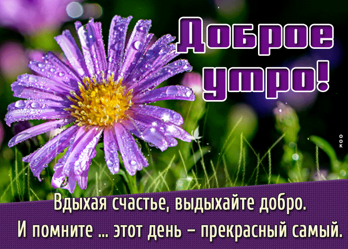 Гиф открытка доброе утро вдыхайте счастье