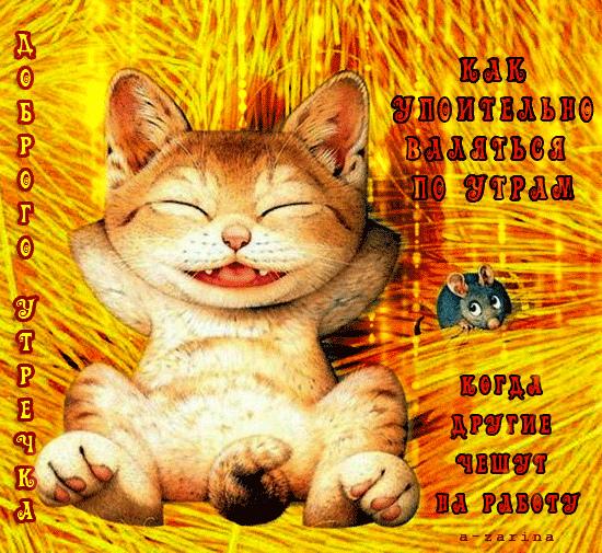 Гифки пожелания доброго утра для женщин для ватсап Гифки пожелания доброго утра для женщин для ватсап