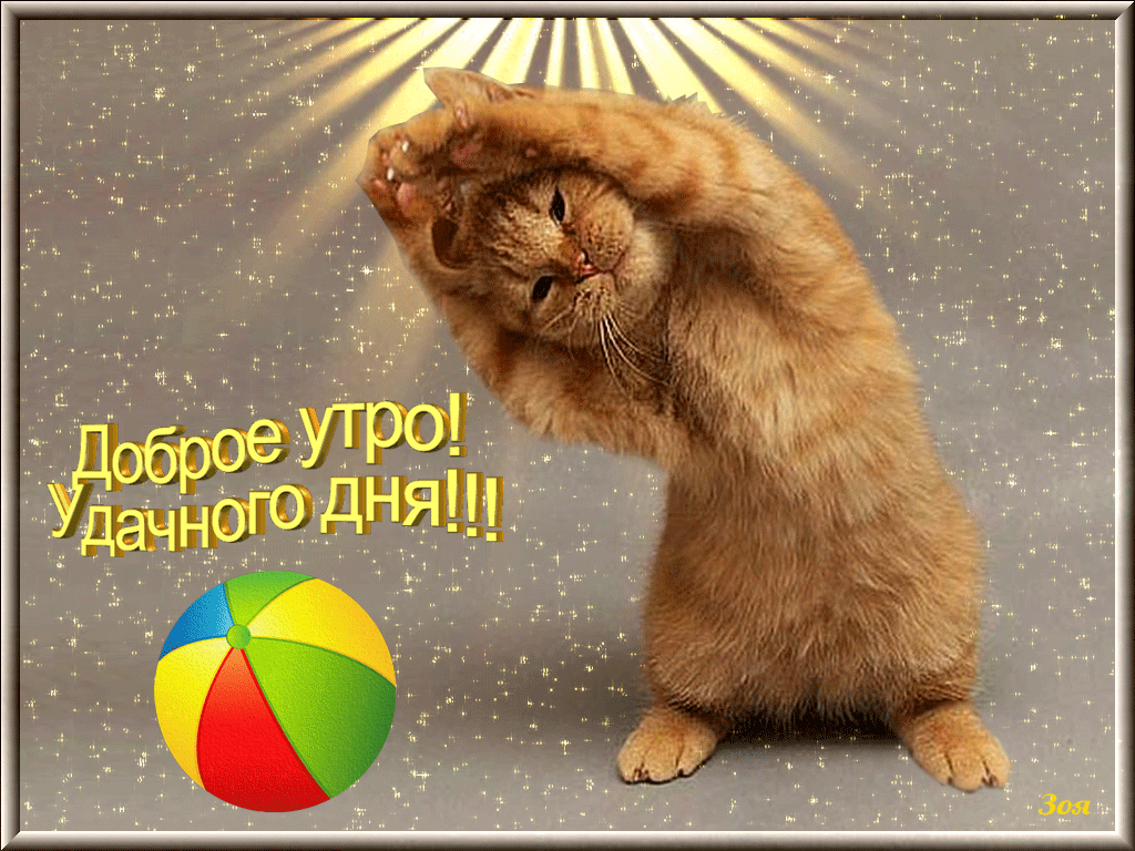 Скачать бесплатно доброе утро. открытки с добрым утром. Открытки с добрым утром анимационные, красивые. Скачать бесплатно доброе утро. открытки с добрым утром. Открытки с добрым утром анимационные, красивые.