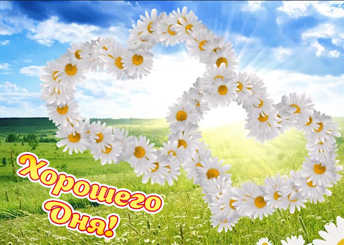 Прикольное пожелание хорошего дня, летняя анимированная картинка с природой и сердечками из ромашек!