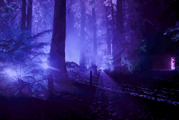 Анимированная картинка необычное свечение в лесу Анимированная картинка необычное свечение в лесу