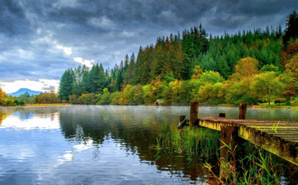 Gif анимация лесное озеро Gif анимация лесное озеро