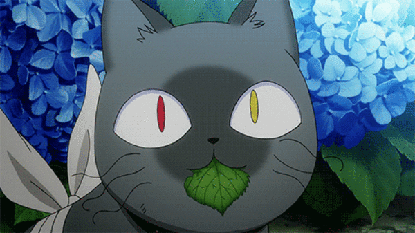 Красивая аниме гифка Кот зомби Бабу. Красивая аниме гифка Кот зомби Бабу.